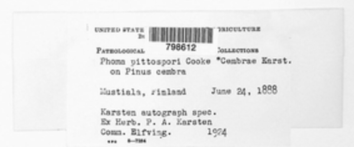Phomopsis image